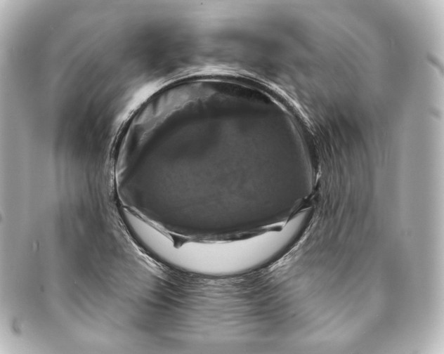 X0000095551367200712281557