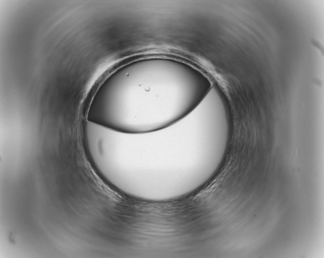 X0000095551368200712281557