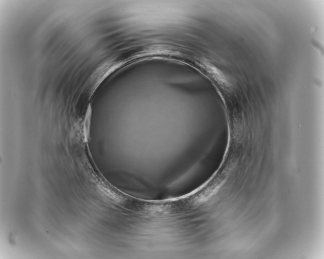 X0000095551369200712281557