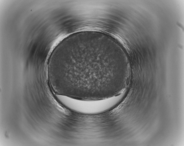 X0000095551371200712281557