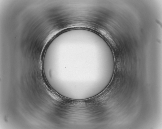 X0000095551372200712281557