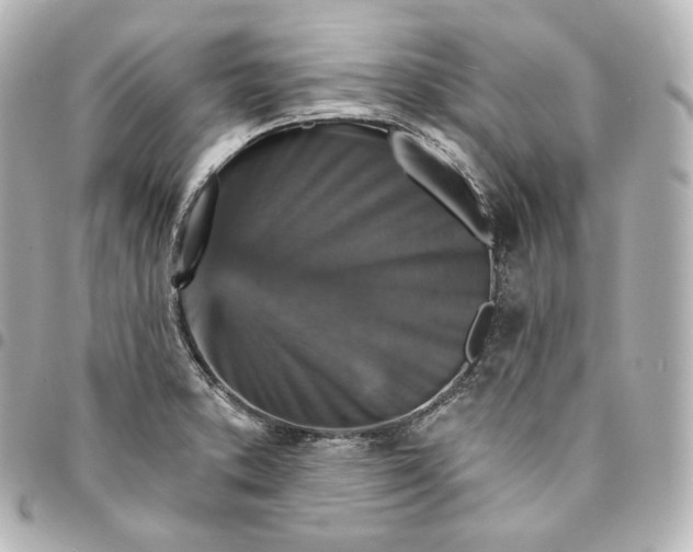 X0000095551373200712281557