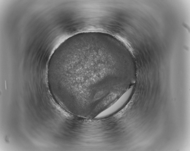 X0000095551374200712281557