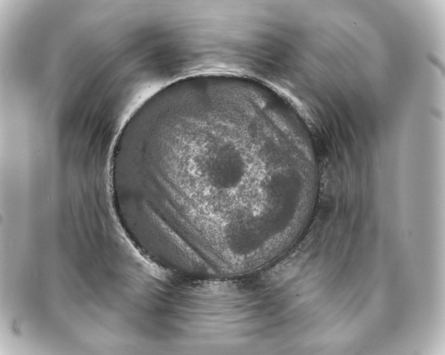 X0000095551375200712281557