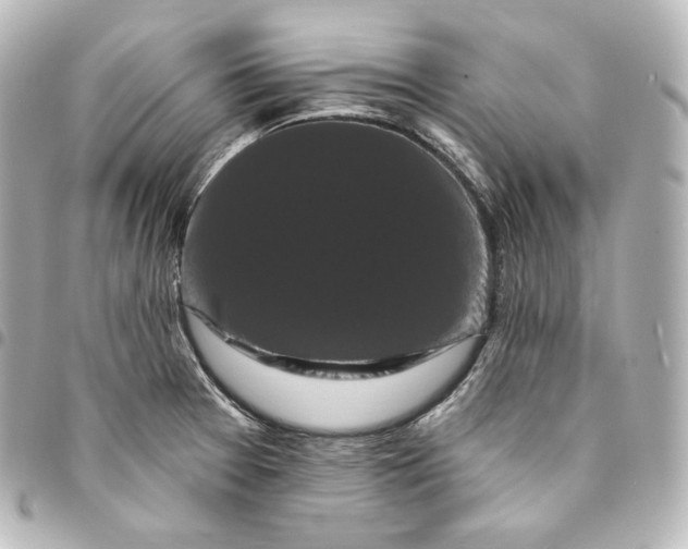 X0000095551377200712281557