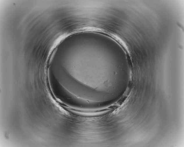 X0000095551381200712281557