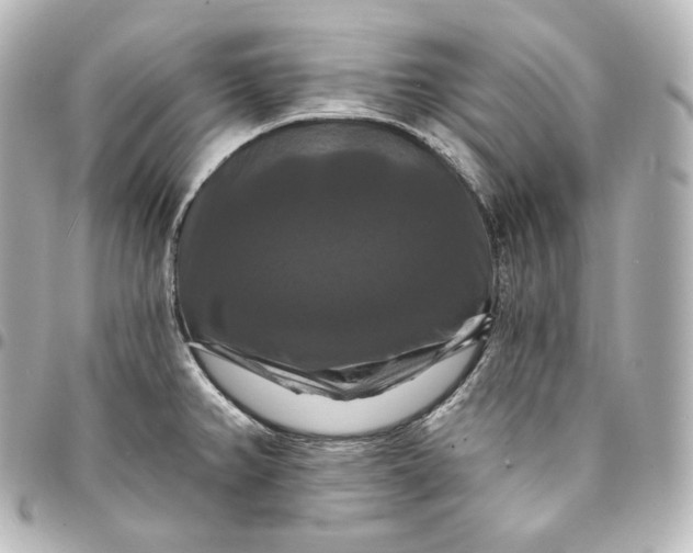 X0000095551382200712281557