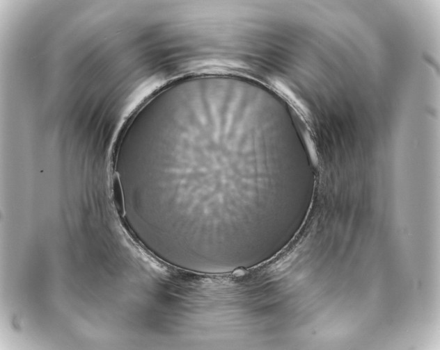 X0000095551384200712281557