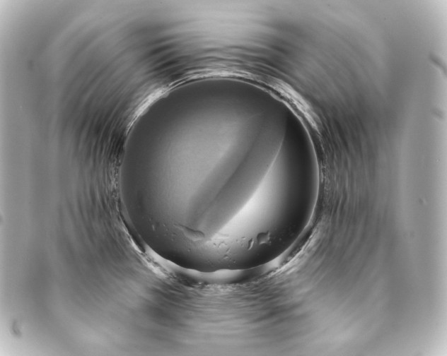 X0000095551385200712281557