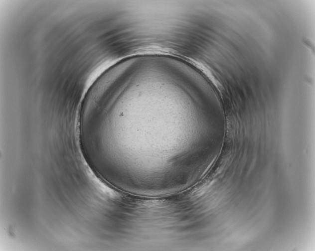 X0000095551387200712281557