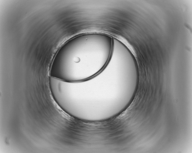 X0000095551388200712281557