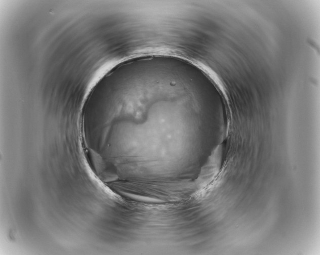 X0000095551389200712281557