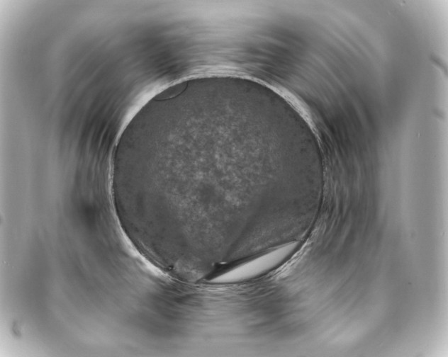 X0000095551390200712281557