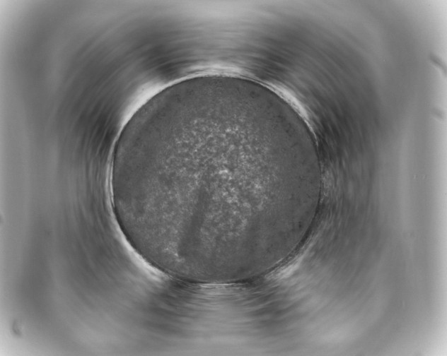 X0000095551391200712281557