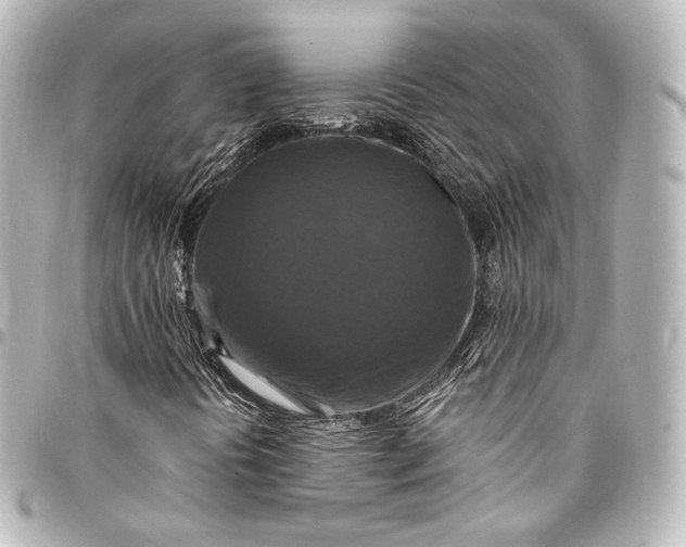 X0000095551394200712281556