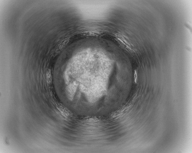 X0000095551395200712281556