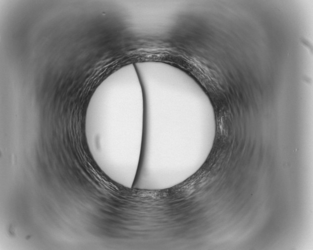 X0000095551396200712281556