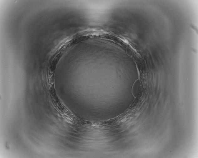 X0000095551399200712281556