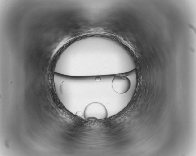 X0000095551400200712281556