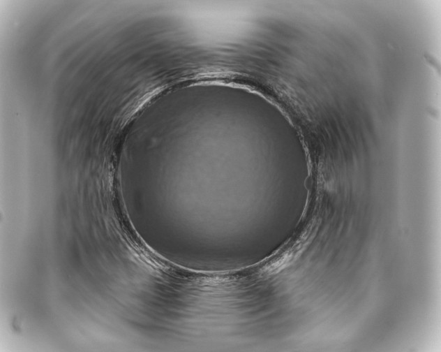 X0000095551401200712281556