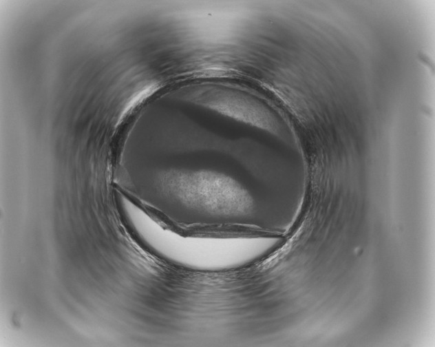 X0000095551402200712281556