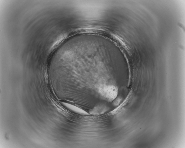 X0000095551403200712281556