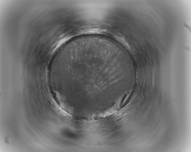 X0000095551404200712281556