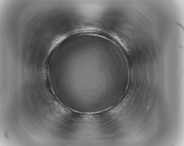 X0000095551405200712281556