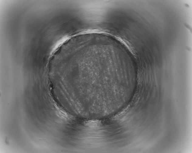 X0000095551406200712281556