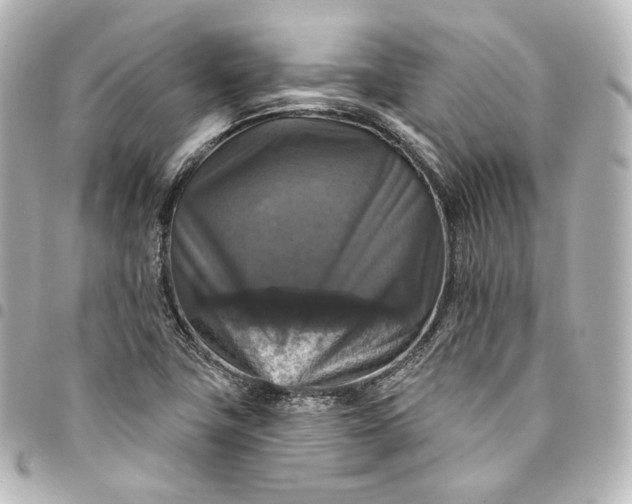 X0000095551411200712281556