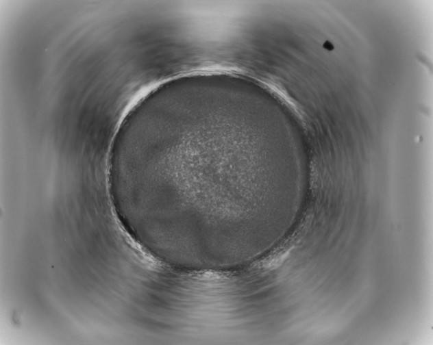 X0000095551412200712281556