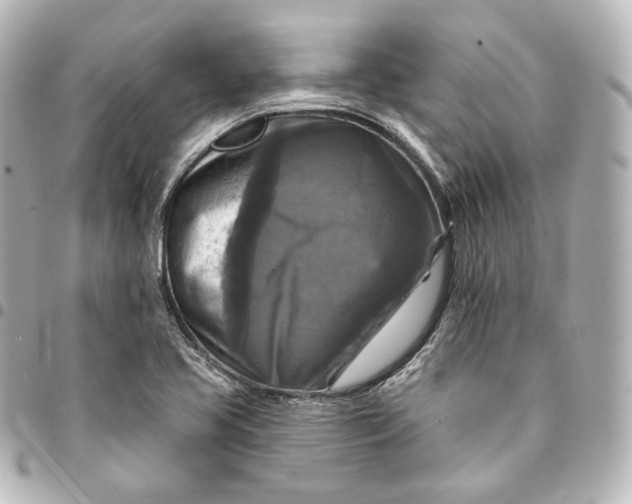 X0000095551413200712281556