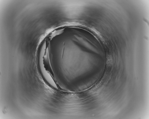 X0000095551414200712281556