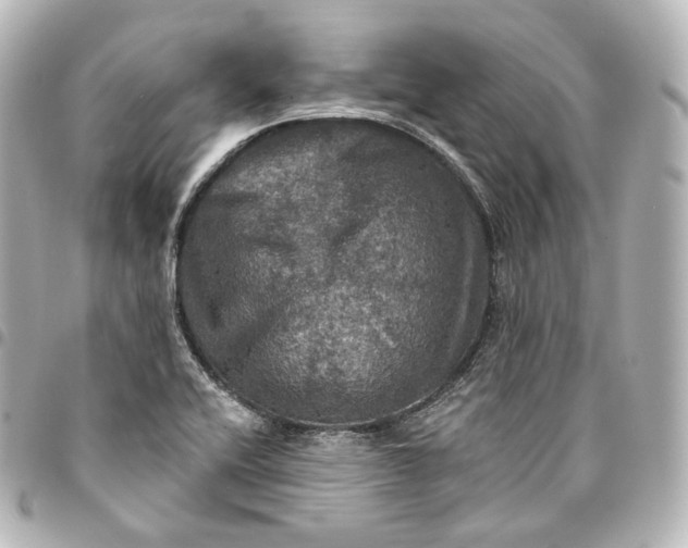 X0000095551416200712281556