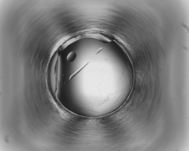 X0000095551418200712281556