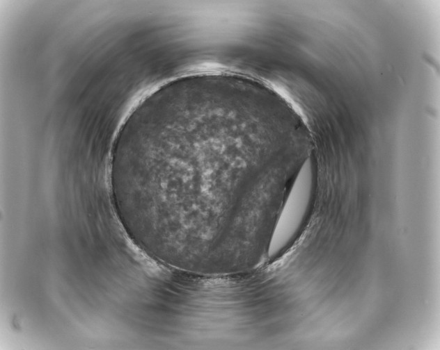 X0000095551421200712281556