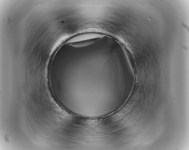 X0000095551422200712281556