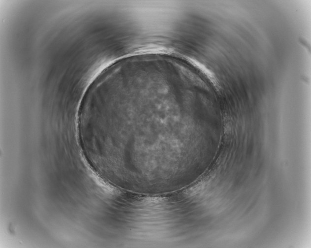 X0000095551423200712281556