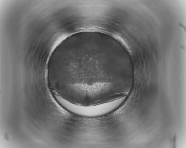 X0000095551424200712281556