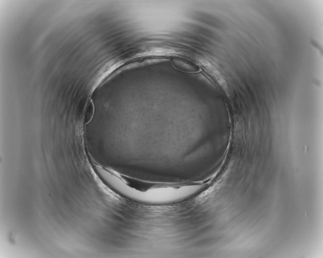 X0000095551425200712281556