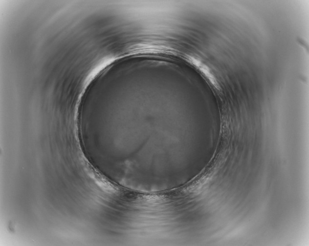 X0000095551427200712281556