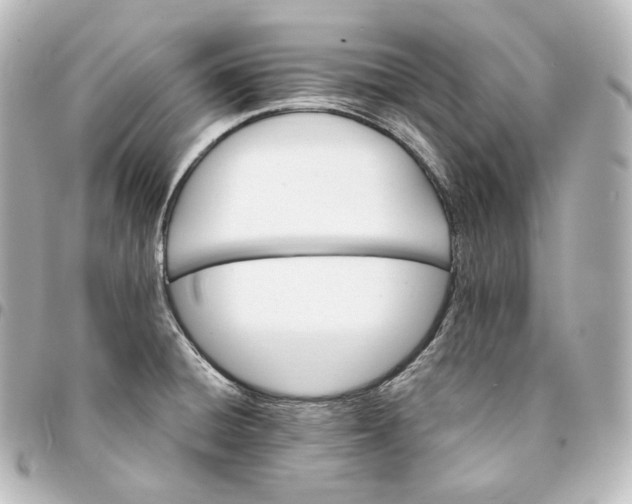 X0000095551428200712281556