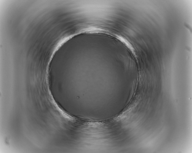 X0000095551429200712281556