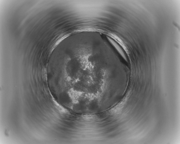 X0000095551433200712281556