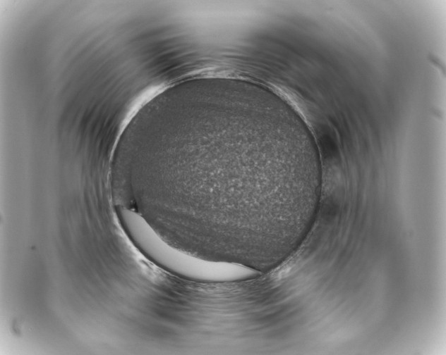 X0000095551434200712281556