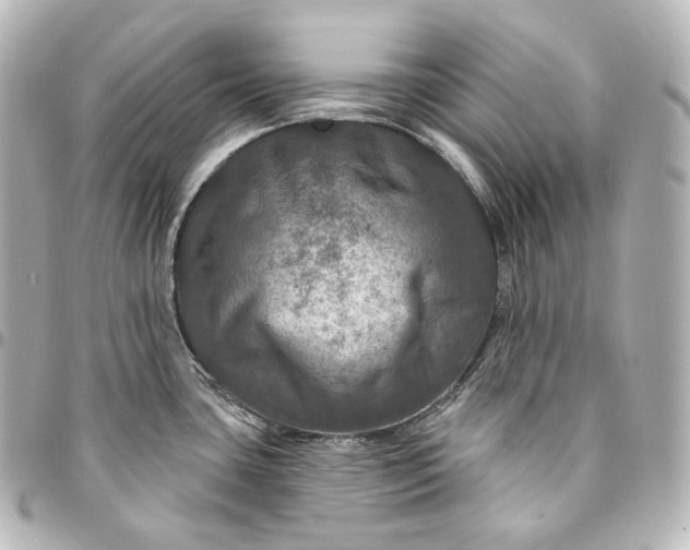 X0000095551435200712281556