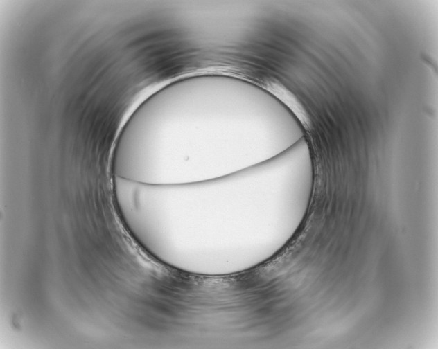 X0000095551436200712281556