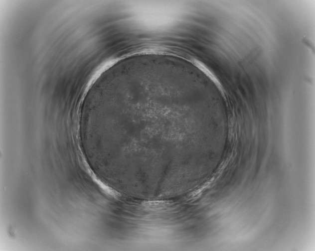 X0000095551437200712281556