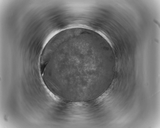 X0000095551438200712281556