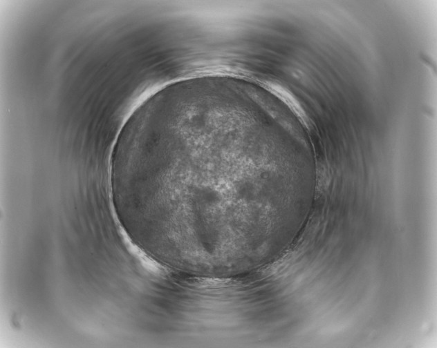 X0000095551439200712281556